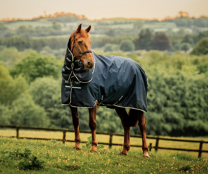 Pony Specials: Amigo Ripstop 900D Plus Turnout 100g