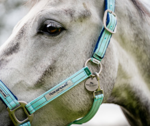 Pony Specials: Horseware Fieldsafe Halter
