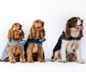 Products: Horseware Newmarket Dog Coat