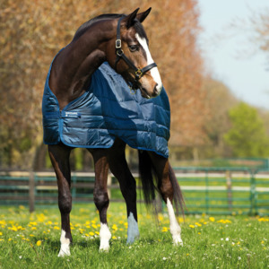 Horseware Liner - 200g