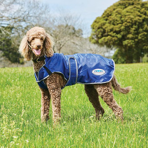 Other Animals Warmth And Comfort: ComFiTec Windbreaker Deluxe Dog Coat