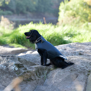 Weatherbeeta Explorer Lite Dog Coat