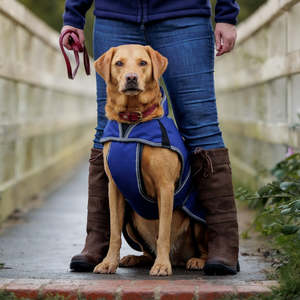 Other Animals Warmth And Comfort: ComFiTec Premier Free Deluxe Parka Dog Coat