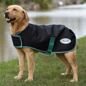 Other Animals Warmth And Comfort: Green Tec Dog Coat