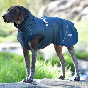 Other Animals Warmth And Comfort: Weatherbeeta Explorer Medium Dog Coat