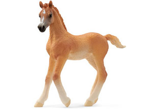Schleich: Schleich Arab Foal