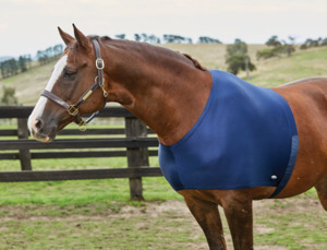 Weatherbeeta: Weatherbeeta Stretch Shoulder Guard