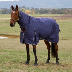 Weatherbeeta: Weatherbeeta Comfitec Prelim 100g Turnout Combo