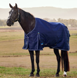Weatherbeeta: Weatherbeeta Comfitec Prelim 220g Turnout Rug