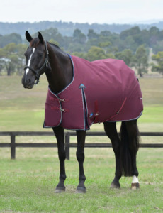 Weatherbeeta: Weatherbeeta Comfitec Essential 50g Turnout Rug