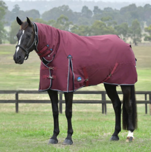 Weatherbeeta Comfitec Essential 50g Turnout Combo