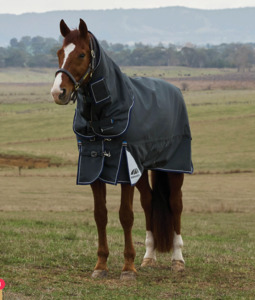 Weatherbeeta Comfitec Ultra 100g Detach-a-neck Turnout