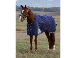 Weatherbeeta: Weatherbeeta Dynamic 100g Turnout Rug