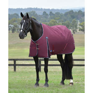 Weatherbeeta Essential 0g Turnout Rug
