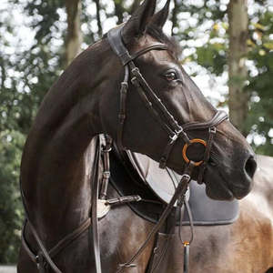 Acavallo Allegoria Anatomic Bridle