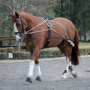 Zilco: Zilco Lunge Training System