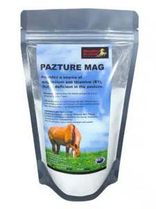 Power Star Pazture Mag