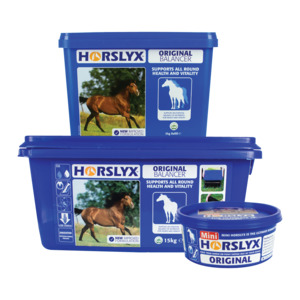 Horslyx Original Lick