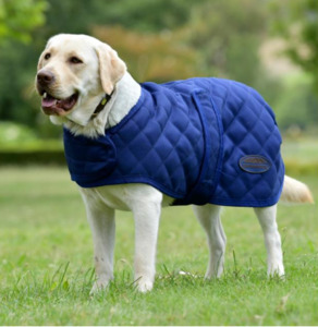Dogs: Weatherbeeta Comfitec Deluxe Dimond Quilt Dog Coat - Navy