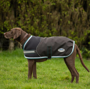 Dogs: Weatherbeeta 1800d Parka Dog Coat Med/Lite - Charcoal