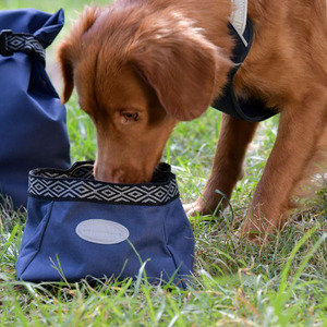 Weatherbeeta Explorer Dog Water & Feed Bowl