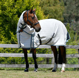 Horsewear Rugs Tack: Weatherbeeta Cotton Summer Sheet Combo