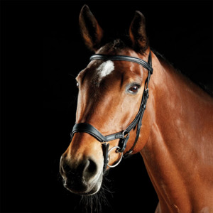 Bits Bridles: Collegiate Comfitec Daina Bridle