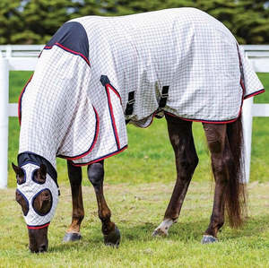 Weatherbeeta Summer Sheet Lite Stretch Hooded Combo
