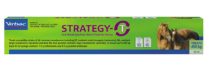 Strategy T Horse Wormer Drench