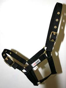 Chevalier Nylon Young Horse Halter