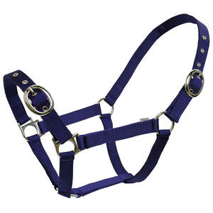 Foaling Season: Blue Tag Web Halter