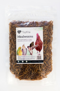 Free Range Eggs: Topflite Dried Meal Worms