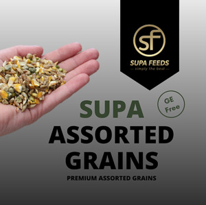 Free Range Eggs: Supa Assorted grains 20kg