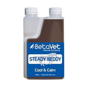 Spring Fever: BetaVet Steady Neddy