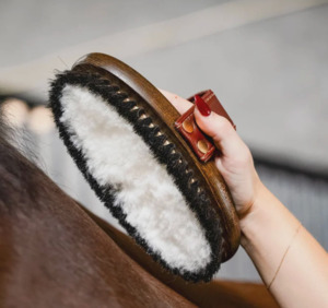 Stable Gear: Hairy Pony Wool Brush