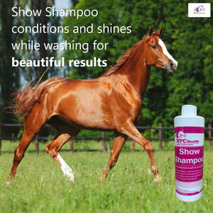 Npc Natural Product Company: NPC Show Shampoo