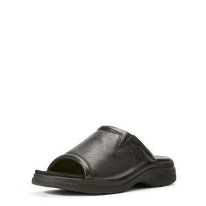 Ariat Bridgeport Sandal