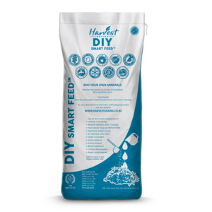 Harvest Grains DIY