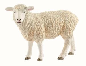 Schleich Sheep
