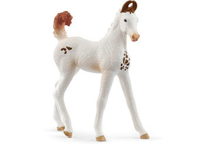 Schleich: Schleich Marwari Foal