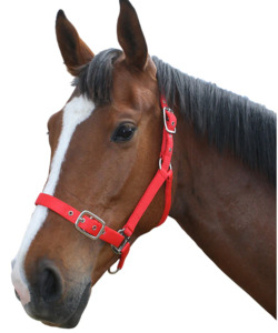 Halters: Flair Nylon Halter