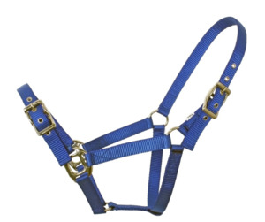 Halters: Flair Heavy Duty Nylon Web Halter