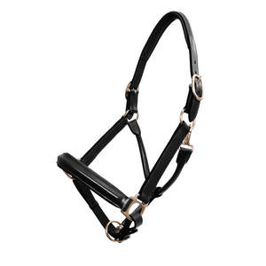 Halters: Patinum Leather Show Halter