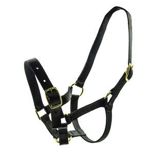 Halters: Chevalier Foal Halter w Brass