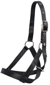 Halters: Web Calf Halter
