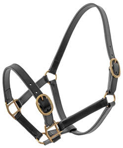 Halters: Platinum Leather Halter