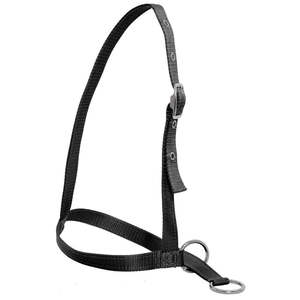 Halters: Chevalier Small Animal Halter