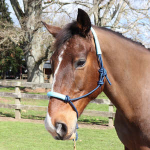 Halters: Chevalier Soft Touch Rope Halter