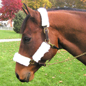 Fleece Sleeve Set For Halters - HorsePlay NZ