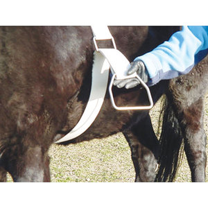 Products: Mounting Aid for bareback riding with waist pack - HorsePlay NZ